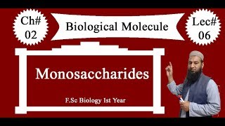 Biology Ch02Lecture06 Monosaccharides FSc 1st Year [upl. by Attiuqehs]