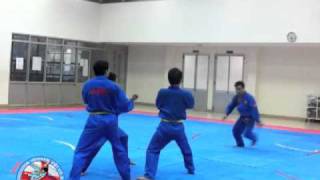 Vovinam Training by Hochiminh City Team  December 2010 [upl. by Virgilia]