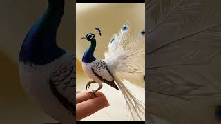 Beautiful baby peacocktrending cuteanimalscutebabyyoutubeshortsFreeFromFoodspeacockcute [upl. by Burl911]