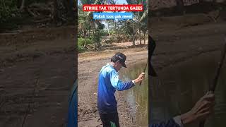 Mancing mania strike Mujaer shortvideo mancing lucu strike mancingmania shorts shortvideo [upl. by Takara]