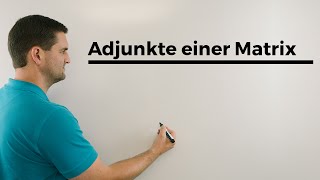 Adjunkte einer Matrix Lineare Algebra Matrixalgebra  Mathe by Daniel Jung [upl. by Inilahs]