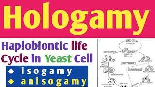 Hologamy  Hologamy example  Haplobiontic life cycle in yeast cell  Isogamy  Anisogamy [upl. by Hareehahs]