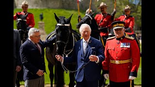 King Charles Gifted Horse as Head of Royal Canadian Mounted Police [upl. by Hermes730]