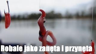 Tyczka  Robaki jako zanęta i przynęta  ABC  jak łowić i zakładać  Wiosna [upl. by Ynahteb]