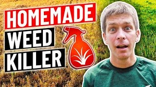 How to make homemade weed killervinegar dish soap salt [upl. by Alverta]