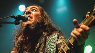 Daron Malakian and Scars on Broadway  Animal NEW SONG  2019 [upl. by Eddra470]