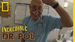 Dr Pol Blog The Doctor on a Stick  The Incredible Dr Pol [upl. by Renny]