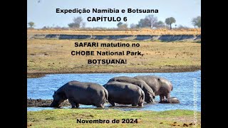 OVERLAND Namíbia e Botsuana  CAP 6 Safari matutino no Chobe NP [upl. by Acihsay]