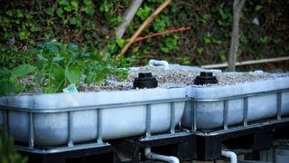 Aquaponic BackYard System  How to build Part 1 [upl. by Relyk]