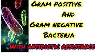 gram positive and gram negative bacteria note acinatobector is not normal skin flora its my mistake [upl. by Anirdnajela]