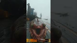 fishing seaworm 🐍 squid 🦑 あい fish すばらしい 釣り sealife amazing 海の生物 मछलीपकड़ने mancing [upl. by Aiuqes]