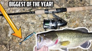 Unbelievable Nightime JUMBO Bass Steals the Show BIGGEST OF THE YEAR [upl. by Atinaujnas]