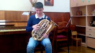 Обзор Туба BBb Travel Tuba tornister tuba ‘Mighty Midget’ Wessex [upl. by Nerahs]