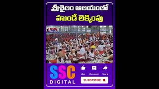 Hundi Calculation Of Srisailam Mallanna Temple  Shorts Sscdigital Balannamuchatlu [upl. by Ultima]