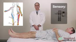 Approach to Low Back Pain Physical Exam  Stanford Medicine 25 [upl. by Fae]