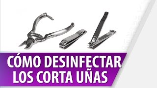 Cómo Desinfectar los Implementos de Aseo  Cosmovision [upl. by Eybbob]