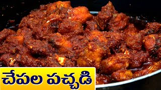 Special Fish Pacchadi in Telugu  చేపల పచ్చడి అద్భుతంగా ఉంటుంది ఇలా పెట్టారంటే  Food Express [upl. by Ynnhoj]