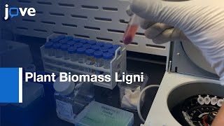 Plant Biomass Lignin Content Estimation by Thioglycolic Acid TGA  Protocol Preview [upl. by Deehsar]