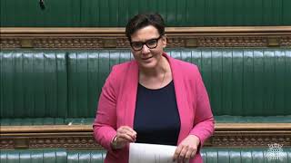 Tonia Antoniazzi MP Gower Labour Ministerial Statement RSE [upl. by Cogan]