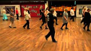 SAMBALERO Line Dance Demo  Machol Aviv 2014 [upl. by Yrneh745]