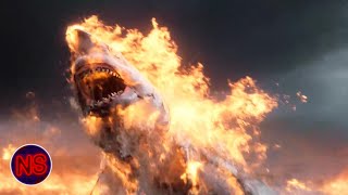 Shark Gets Set On Fire  Shallows  Now Scaring [upl. by Brittne]