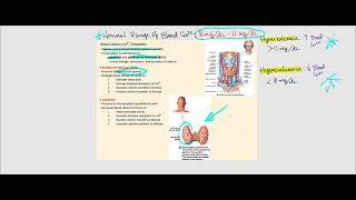 Lecture Video 7 Bone Tissue [upl. by Hopfinger]