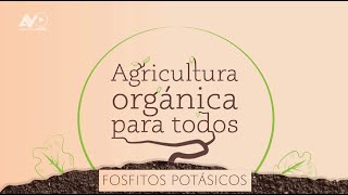 Agricultura orgánica para todos Fosfitos potásicos [upl. by Nitin]