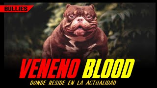 VENENO BLOOD¿Donde reside en la Actualidad 🔥 [upl. by Einial]