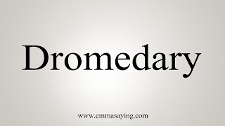 How To Say Dromedary [upl. by Koh]