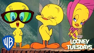 Looney Tuesdays  Tweety an Icon for Everyone  Looney Tunes  WB Kids [upl. by Zetnom817]