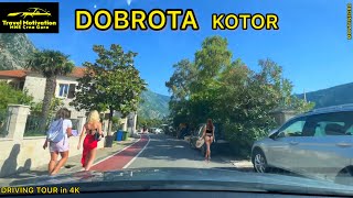 DOBROTA  KOTOR vožnja Promenadom u Julu 2024  DOBROTA Settlement Driving Tour in 4K Crna Gora [upl. by Carlina]