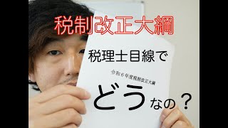 【速報】令和6年度（2024年度）税制税制改正大綱を税理士目線で解説 [upl. by Eliath]