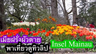 Insel Mainau ชมดอกทิวลิป1Kapi655 [upl. by Druce]