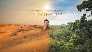 A CHINA Está Transformando DESERTOS em FLORESTAS [upl. by Yzzo]