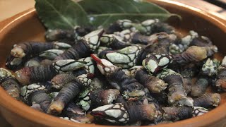 COMO COCER PERCEBES RECETA FÁCIL Y RÁPIDA [upl. by Yesac393]