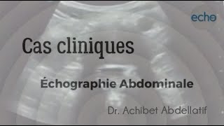 Dr Achibet Abdellatif  formation ECHOGRAPHIE ABDOMINALE [upl. by Brand828]