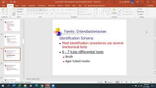 Lecture 6  Enterobacteriaceae 1 [upl. by Norit]