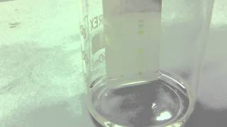 Chromatography of chlorophyll from grass [upl. by Fritzie]