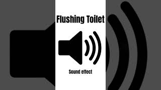 Flushing Toilet sound effect [upl. by Ahsocin84]