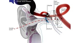 The fantastic Buhel Intercom System using Bone Conduction Technology [upl. by Nynnahs]