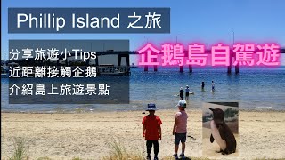 120 澳洲自駕遊之 企鵝島 分享本地人旅遊小Tips 中文字幕 Phillip Island 土澳TV [upl. by Betty]