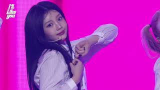 241023 ILLIT  Cherish My Love Performace Comeback Showcase [upl. by Kumler14]