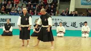 Shorinji Kempo embu 2 [upl. by Haorbed]