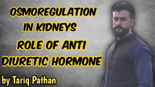 Chapter Homeostasis  Osmoregulation in kidneys  Role of Anti diuretic hormone  Tariq Pathan [upl. by Wald917]