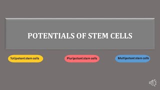 stem cells  totipotent pluripotent multipotent stem cells  scitechtrends [upl. by Ekrub]