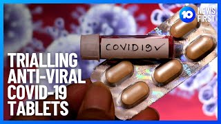 COVID19 AntiViral Tablets In Trial  10 News First [upl. by Ecela]