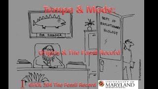 Lecture 7 Tempoamp Mode Originsamp the Fossil Record [upl. by Hnilym]