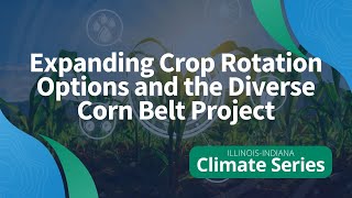 Expanding Crop Rotation Options and the Diverse Corn Belt Project [upl. by Petulia]