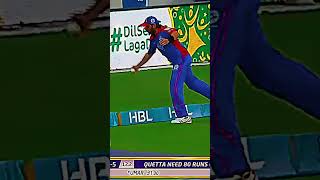 Shahid Afridi best catch in psl 😱🔥cricket shahidafridi whatsappstatusforyou subscribe [upl. by Aisayn]