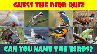 Birds Quiz Paksiyon Ke Baare Mein Janiye Mazedaar Gyaan  Hindi Quizquotquot [upl. by Eceer]